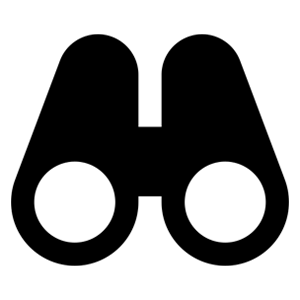 Ikon Vision